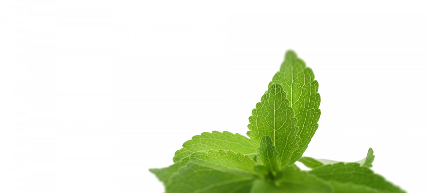 Sweetleaf header
